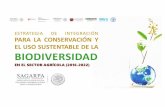 Presentación de PowerPoint Verde/EIBA Foro Extensi… · la vida en todos sus niveles: de especies, genética, hábitats y ecosistemas. Biodiversidad La biodiversidad tiene una estrecha