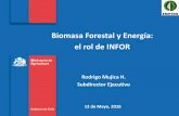 Biomasa Forestal y Energía: el rol de INFORnewsletter.avebiom.com/AVEBIOM/ponenciasExpoFrioCalor/02... · 2016-05-26 · Gobierno de Chile, siendo oficializado como instituto tecnológico