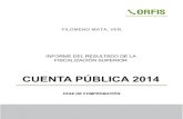 FILOMENO MATA, VER. - ORFIS Veracruz V/… · FILOMENO MATA, VER. 205 1. PRESENTACIÓN Este documento revela el resultado de la Fiscalización Superior en su Fase de Comprobación