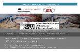 LA VISIÓN 3D-ESTEREOSCÓPICA EN EL APRENDIZAJE DE LA ...dspace.umh.es/bitstream/11000/4944/1/TD Abarca Olivas, Javier.pdf · La aplicación de la estereoscopia en la neuroanatomía
