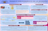 Trabajo bibliográfico de la migraña147.96.70.122/Web/TFG/TFG/Poster/SARA RIESCO GARCIA.pdf · 2017-06-10 · Otros: trauma craneal, ejercicio físico, fatiga. La teoria vascular