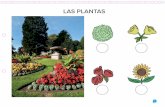 LAS PLANTAS - Santillana · Unidad 5: ¡Cómo me gustan las plantas! • Marca las plantas que aparecen en el jardín botánico de la fotografía. ES0000000078779 876856_cuaderno5_5anios_quiero_PLANTAS_68978.indd