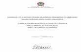 ZUMARRAGAKO UDALA AYUNTAMIENTO DE ZUMARRAGA · 1.1. EQUIPO DE TRABAJO Para la redacción del documento de Comunicación para la Iniciación de Evaluación Conjunta de Impacto Ambiental