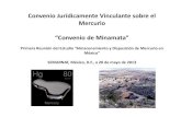 “Convenio de Minamata - gob.mx · Convenio Jurídicamente Vinculante sobre el Mercurio “Convenio de Minamata” Primera Reunión del Estudio “Almacenamiento y Disposición de
