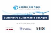 SUMINISTRO SUSTENTABLE DE AGUA - Wecmexwecmex.org.mx/presentaciones/4CongresoAnual/250517_Roeb_Garc… · Contenido*! Sustentabilidadenelagua Retosenelsuministrosustentabledelagua