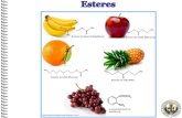 Los ésteres son compuestos derivados de los ácidos … V.pdf · Los nombres sistemáticos de los ésteres se obtienen de la siguiente manera: La primera palabra del nombre del éster,