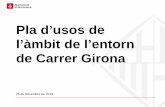 Pla d’usos de l’àmbit de l’entorn de Carrer Girona...Total llicències de l’àmbit 1.493 100,00 17,96 Pla d’usos del carrer Girona ESBORRANY 10 de Desembre de 2019 Dades