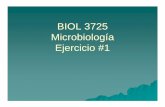 BIOL 3725 Microbiología Ejercicio #1academic.uprm.edu/lrios/3725/Ejercicio1.pdf · TÉCNICAS ASÉPTICAS Lavarse las manos con jabón y secarse con papel toalla al inicio y final