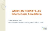 ANEMIAS NEONATALES Esferocitosis hereditaria · 2. Anemia hipoplásica 3. Supresión médula ósea 4. Anemia nutricional. Pruebas de primer nivel a pedir en Neonatología ... Número