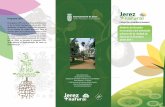 Innovadora del arbolado urbano de la ciudad de 2010-2011 · 2017-11-23 · Tratamiento bi lógico del arbolado urbano El Ayuntamiento de Jerez alcanza un elevado estándar a nivel