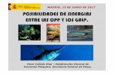 MADRID, 13 DE JUNIO DE 2017 POSIBILIDADES DE SINERGIAS ...regp.pesca.mapama.es/sites/default/files/eventos/18_Sinergias OPP_… · ingresos por la actuaciÓn de la opp (mayorista,