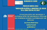 SEMINARIO DE CIERRE PROYECTO INNOVA CHILE...Corteza 4,1 - 0,2 - Hojas 9,5 16 25 13 45,1 Raíces - - 26,1 Distribución de Biomasa (%) de Boldo. Las variables de área basal, diámetro