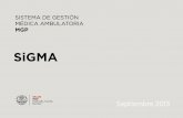 Secretaria de Salud MGP Batán Mar del Plata 2013-09 JAIIO RC2.pdf · Proyecto SiGMA: Sistema de Información Hospitalaria El uso de una Sistema de Información Hospitalaria (HIS)