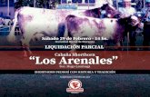 catalogo-web-Remate Los Arenales-2020 · La cabaña Los Arenales participa desde siempre en la Expo Prado, principal exposición de Uruguay, habiendo obtenido varios grandes campeones,