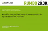 Gestión Forestal Conjunta: Nuevo modelo de optimización de ... · Congreso Nacional del Medio Ambiente . Madrid del 26 al 29 de noviembre de 2018 . Gestión Forestal Conjunta: Nuevo