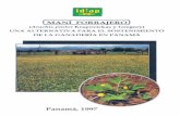 Panamá, 1997bdigital.binal.ac.pa/bdp/idiap/ManiForrajero.pdf · m entre hileras por 0.50 m entre plantas, o al voleo, en caso de utilizar estolones o semilla garnica en suelos preparados