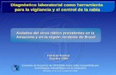 Diagnóstico laboratorial como herramienta para la vigilancia y el control de la rabia · 2008-01-03 · Panel de anticuerpos monoclonales antinucleoproteína, cedido por el CDC/Atlanta/USA,