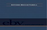 ESTUDIO BECCAR VARELA€¦ · Tucumán 1, 3rd. floor (C1049AAA) Buenos Aires, Argentina Tel: +54 (11) 4379 6800/4700 - Email: estudio@ebv.com.ar