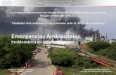Emergencias Ambientales · Subprocuraduría de Inspección Industrial Dirección General de Inspección de Fuentes de Contaminación Dirección de Emergencias Ambientales