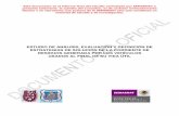ESTUDIO DE ANÁLISIS, EVALUACIÓN Y DEFINICIÓN DE ...biblioteca.semarnat.gob.mx/janium/Documentos/Ciga/Libros2011/CD… · 130 9.1. La generación de ELV en México 130 ... Números