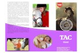 La Terapia Asistida con Caballos- TDHA · terapia asistida con equinos se está comenzando a mirar desde otra perspectiva, ya que, puede ser muy beneficioso para personas que presenten