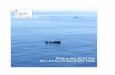 Texto - cime.es · 2018-01-11 · 20ª edición: enero 2017. Edición digital 21ª edición: julio 2017. ... • De embarcación de lista 6ª y 7ª. • De pesca submarina a partir