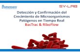 Detección y Confirmación del Crecimiento de ... · Detección y confirmación de patógenos en menos 24h • Detección de microorganismos activos mediante API eléctrico. • Screening