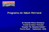 Programa de Salud Perinatal...Dr Gerardo Flores Henríquez . Comité de Salud Perinatal . Hospital “Dr. Eduardo Schütz” ... - Guía del quehacer sectorial de diferentes Niveles