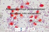 Presentación de PowerPoint€¦ · • Elimina el estado de portador. Vacunas conjugadas (PCV) El patógeno PCV7 PCV13 Serotipos emergentes. Impacto de la introducción de la PCV13