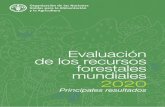 Evaluación de los recursos forestales mundiales 2020 · 1 Evaluación de los recursos forestales mundiales 2020 Principales resultados Los bosques abarcan casi un tercio de la superficie