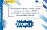 Proyectos de movilidad de Educación Superior entre países ... · Alianzas para el conocimiento . 28 de febrero de 2019 : Universidades Europeas . 28 de febrero de 2019 : Acciones