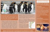 SEO Birdlife - Sociedad Española de Ornitología - Excursiones y … · 2018-05-04 · belleza de sus paisajes. El parque cuenta con dos joyas muy especiales, el puma y el pato torrentero;