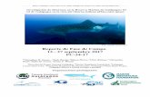 20170913 Reporte de Campo 2017(JRG) · DPNG/ Galapagos Conservation Trust /MMF/ FMME/ GSC Reporte de campo Tiburón ballena 2017 Green et al. 2017 Investigación de tiburones en la