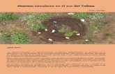 Grupo Semillas · Grupo Semillas ¿Qué son? ... en reservorios de insectos benéficos y el mantillo de los bosques aporta las micorrizas propias para aportar a la sanidad del suelo