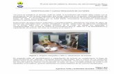  · PLAN DE GESTIÓN AMBIENTAL REGIONAL DEL DEPARTAMENTO DEL HUILA 2011 – 2020 Página 1 de 6 Ingenieros Civiles y Ambientales Asociados – CASIA LTDA IDENTIFICACION Y CARACTERIZAC