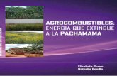 AGROCOMBUSTIBLES: ENERGÍA QUE · Abastecimiento de biodiesel (Aceite de Palma) 2011 39 millones 682 mil 539 galones anuales 2012 52 millones 910 mil 052 galones anuales 2013 79 millones