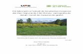 Col·laboració a l’estudi de les plantes invasores del Parc ... · Parc, ja que hi és present de forma abundant a la veïna comarca de l’Alt Urgell, i a traves del Port del