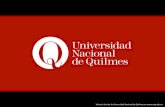 Visite el sitio de la Universidad Nacional de Quilmes en ...ici.unq.edu.ar/ici_clases_pdf/ICI_clase_14.pdf · La estructura local debe estar en manos de expertos en el tema, que conozcan