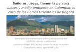 Jueces y medio ambiente en Colombia: el caso de los Cerros …paot.org.mx/contenidos/paot_docs/seminario/pdf/lunes/Catalina_Vill… · Jueces y medio ambiente en Colombia: el caso