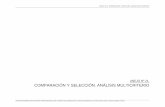COMPARACIÓN Y SELECCIÓN. ANÁLISIS MULTICRITERIO · 2019-10-15 · ANEJO Nº 21. COMPARACIÓN Y SELECCIÓN. ANÁLISIS MULTICRITERIO 2 ESTUDIO INFORMATIVO RED ARTERIAL FERROVIARIA