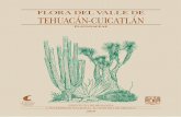 FLORA DEL VALLE DE TEHUACÁN-CUICATLÁN · ISBN 978-607-30-0900-3 Flora del Valle de Tehuacán-Cuicatlán ISBN 978-607-30-2823-3 PLATANACEAE Coordinadora y Editora: Rosalinda Medina