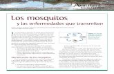 Los mosquitos y las enfermedades que transmiten · universidad o un operario de control de plagas. y las enfermedades que transmiten. 2 Tabla 1. Datos biológicos sobre veinte especies