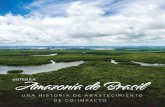 Amazonia de Brasil - doTerra€¦ · El río Amazonas es el río más grande del mundo en volumen. Algunos de sus afluentes también reclaman espacio entre los ríos más grandes