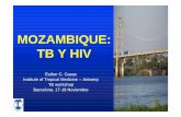 MOZAMBIQUE: TB Y HIV...TUBERCULOSIS Y LEPRA • Creado en 1977 como Estrategia de Lucha Antituberculosa (ELAT). • 2007: Tasa de detección TBP ZN+ = 47% • Aumento de casos detectados