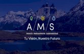 Tu Visión, Nuestro uturo - AMS Consultoresamsconsultores.cl/wp-content/uploads/2020/03/Brochure-AMS-2020.… · ciclo de vida de los proyectos, apoyando a través del tiempo a un