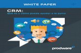 WHITE PAPER - Prodware Pymes...La implementación CRM impulsa y avala el crecimiento de la empresa, no sólo por agilizar los procesos sino también por ser una solución escalable,