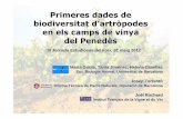 Primeres dades de biodiversitat d’artròpodes en els camps ... · Biodiversitat d’artròpodes en vinya Discussiói conclusions-Treball descriptiu preliminar-Les dades es comporten