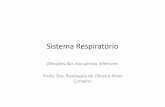 SistemaRespiratório( · SistemaRespiratório(Afecções(das(vias(aéreas(inferiores(Profa.(Dra.(Rosângelade(OliveiraAlves(Carvalho