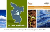 IDA SAN MARTÍN 2018 - SINIA | Sistema Nacional de ......OBJETIVO 4 04/06/2018 Propuesta de Indicadores de Desempeño Ambiental en la región San Martín –2018. Proponer indicadores