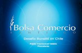 Desafío Bursátil en Chile · •Ejemplos de financiamiento en el mercado bursátil en los últimos 10 años: –Sector Retail, más de USD 2,5 billones. –Sector Infraestructura